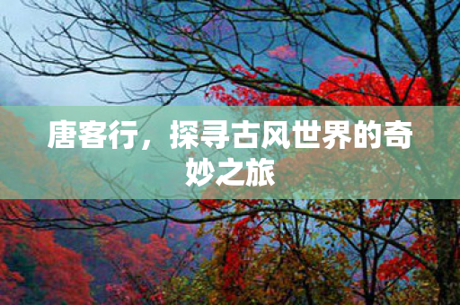 唐客行，探寻古风世界的奇妙之旅