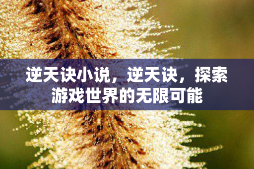 逆天诀小说，逆天诀，探索游戏世界的无限可能