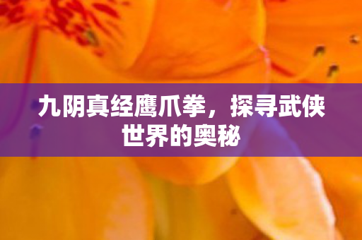 九阴真经鹰爪拳，探寻武侠世界的奥秘