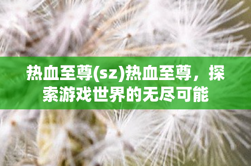 热血至尊(sz)热血至尊，探索游戏世界的无尽可能