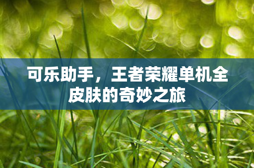 可乐助手，王者荣耀单机全皮肤的奇妙之旅