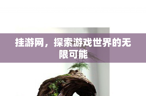 挂游网,探索游戏世界的无限可能 挂游网,探索游戏世界的无限可能