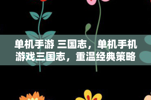 单机手游 三国志，单机手机游戏三国志，重温经典策略，领略历史风云