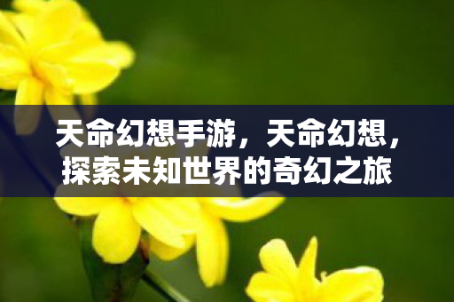 天命幻想手游，天命幻想，探索未知世界的奇幻之旅