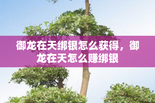 御龙在天绑银怎么获得，御龙在天怎么赚绑银