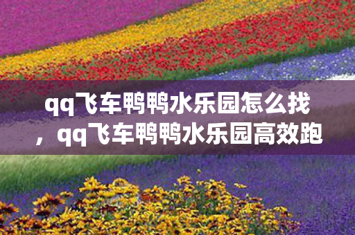 qq飞车鸭鸭水乐园怎么找，qq飞车鸭鸭水乐园高效跑法揭秘