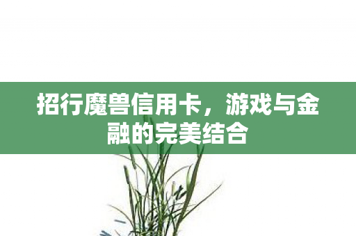 招行魔兽信用卡，游戏与金融的完美结合