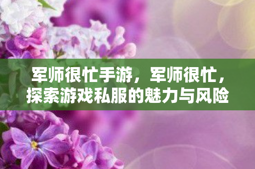 军师很忙手游，军师很忙，探索游戏私服的魅力与风险