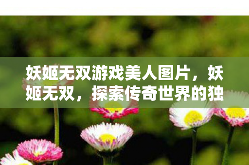 妖姬无双游戏美人图片，妖姬无双，探索传奇世界的独特魅力