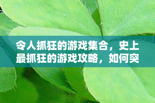 令人抓狂的游戏集合，史上最抓狂的游戏攻略，如何突破谜之迷宫的极限挑战