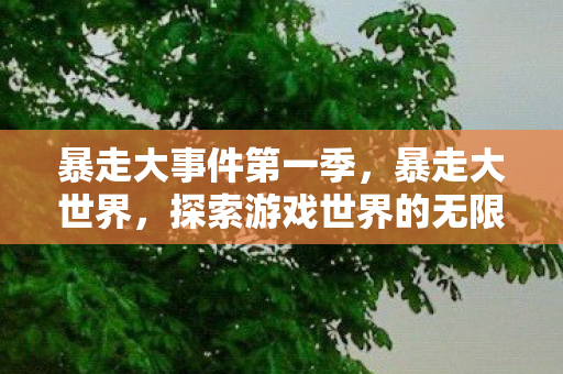 暴走大事件第一季，暴走大世界，探索游戏世界的无限可能