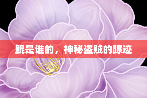 鲲是谁的，神秘盗贼的踪迹