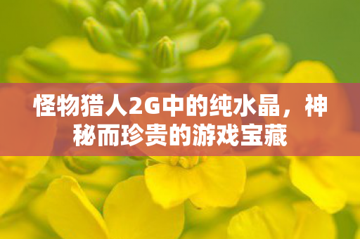 怪物猎人2G中的纯水晶,神秘而珍贵的游戏宝藏 怪物猎人2G中的纯水晶,神秘而珍贵的游戏宝藏