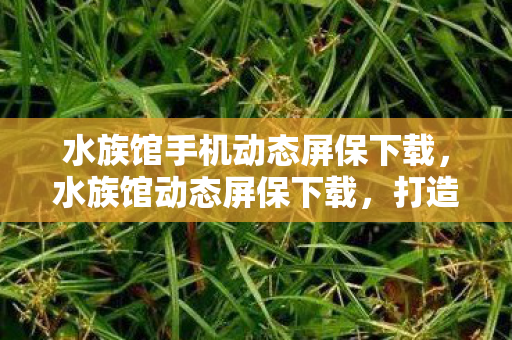 水族馆手机动态屏保下载，水族馆动态屏保下载，打造个性化桌面，探索海洋的奥秘