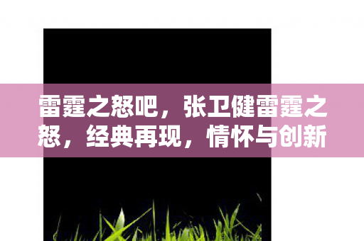 雷霆之怒吧，张卫健雷霆之怒，经典再现，情怀与创新的碰撞