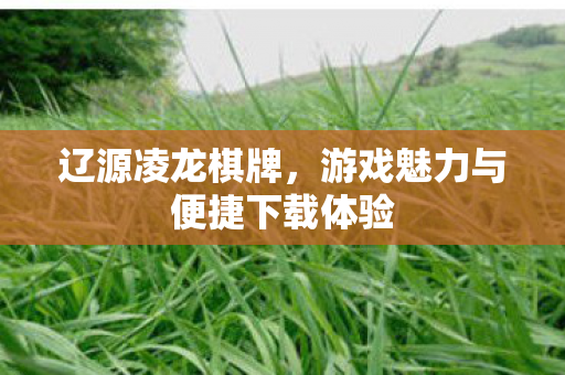 辽源凌龙棋牌，游戏魅力与便捷下载体验