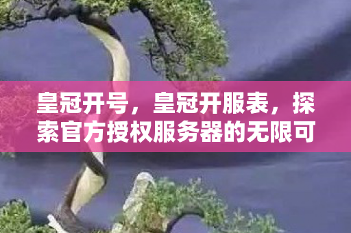 皇冠开号，皇冠开服表，探索官方授权服务器的无限可能