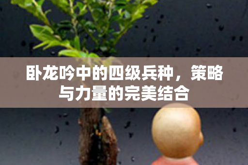 卧龙吟中的四级兵种，策略与力量的完美结合