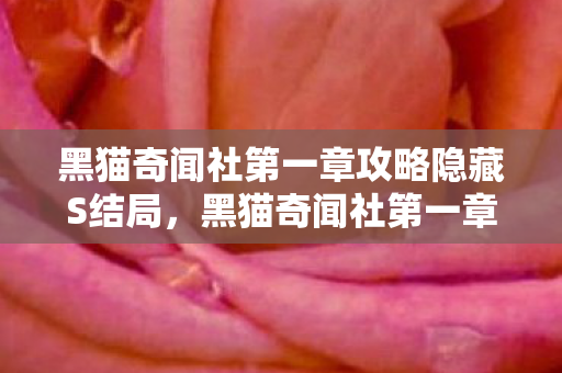 黑猫奇闻社第一章攻略隐藏S结局，黑猫奇闻社第一章攻略
