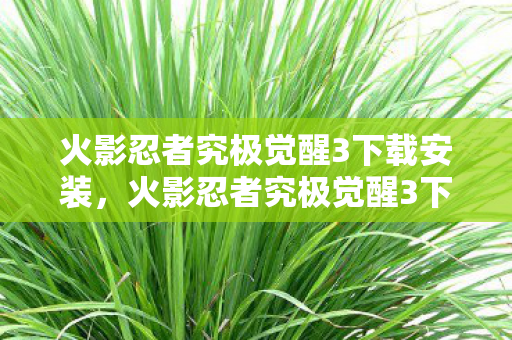 火影忍者究极觉醒3下载安装，火影忍者究极觉醒3下载，重温经典，畅享战斗