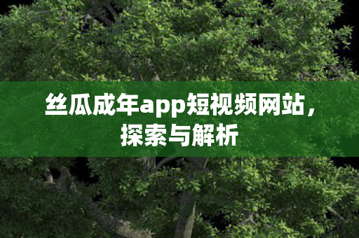 丝瓜成年app短视频网站，探索与解析
