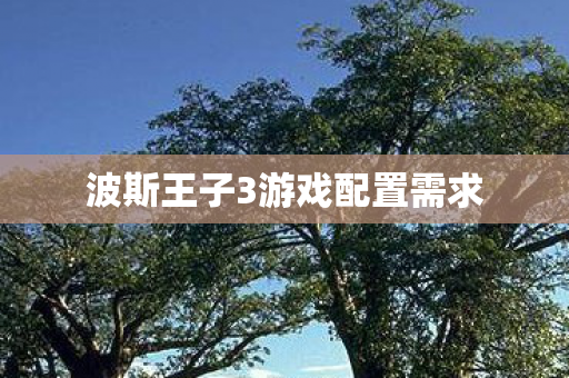 波斯王子3游戏配置需求
