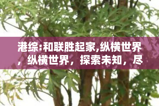 港综:和联胜起家,纵横世界，纵横世界，探索未知，尽享游戏魅力