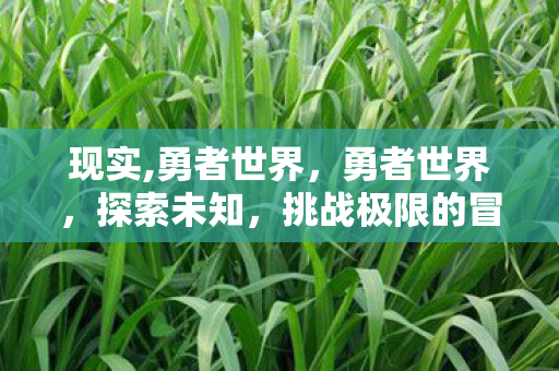 现实,勇者世界，勇者世界，探索未知，挑战极限的冒险之旅