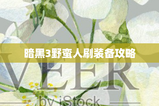 暗黑3野蛮人刷装备攻略