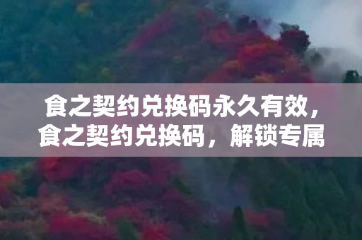 食之契约兑换码永久有效，食之契约兑换码，解锁专属福利，畅享游戏乐趣