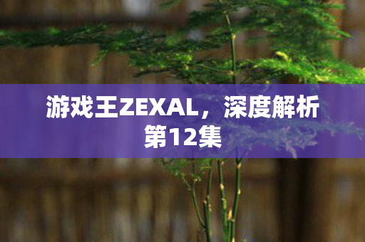 游戏王ZEXAL，深度解析第12集