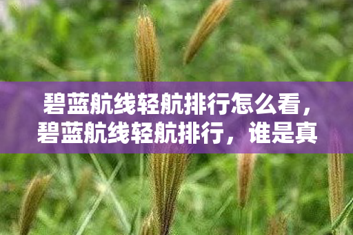 碧蓝航线轻航排行怎么看，碧蓝航线轻航排行，谁是真正的海上女王？