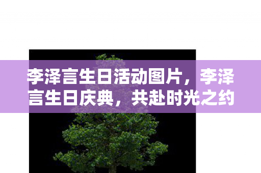 李泽言生日活动图片，李泽言生日庆典，共赴时光之约，见证总裁风采