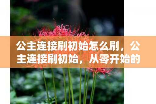 公主连接刷初始怎么刷，公主连接刷初始，从零开始的冒险之旅