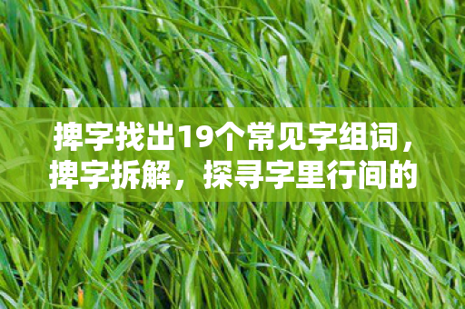 捭字找出19个常见字组词，捭字拆解，探寻字里行间的奥秘