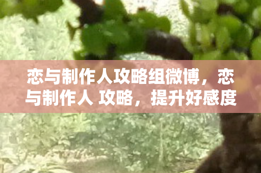 恋与制作人攻略组微博，恋与制作人 攻略，提升好感度与解锁剧情的实用技巧