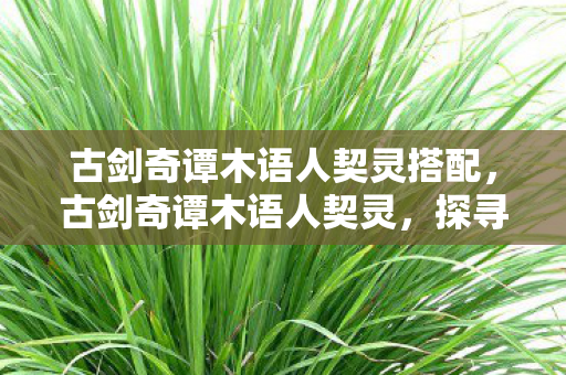 古剑奇谭木语人契灵搭配，古剑奇谭木语人契灵，探寻游戏中的神秘力量