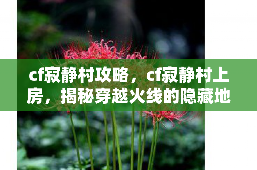 cf寂静村攻略，cf寂静村上房，揭秘穿越火线的隐藏地图与战术策略