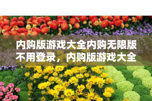 内购版游戏大全内购无限版不用登录，内购版游戏大全，解锁无限乐趣的秘籍