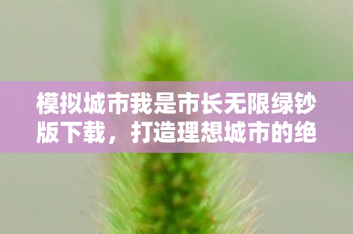 模拟城市我是市长无限绿钞版下载，打造理想城市的绝佳助手