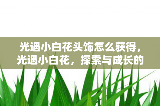 光遇小白花头饰怎么获得，光遇小白花，探索与成长的奇妙之旅