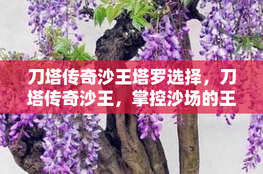 刀塔传奇沙王塔罗选择，刀塔传奇沙王，掌控沙场的王者