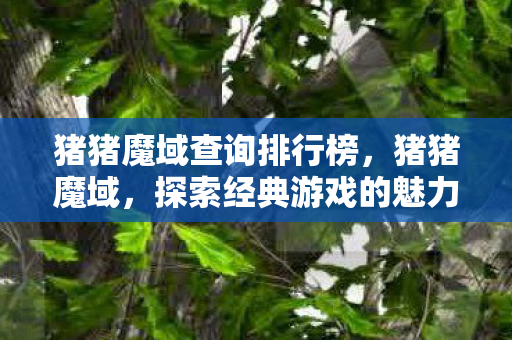 猪猪魔域查询排行榜，猪猪魔域，探索经典游戏的魅力与传承