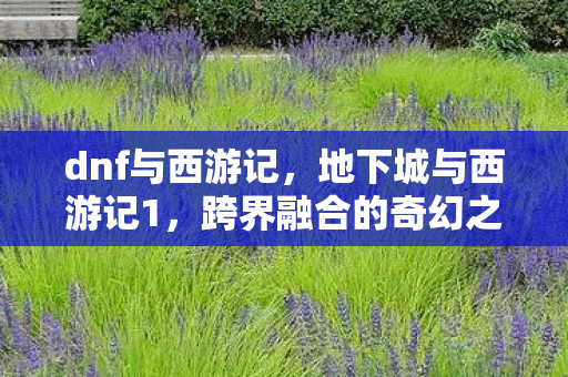 dnf与西游记，地下城与西游记1，跨界融合的奇幻之旅
