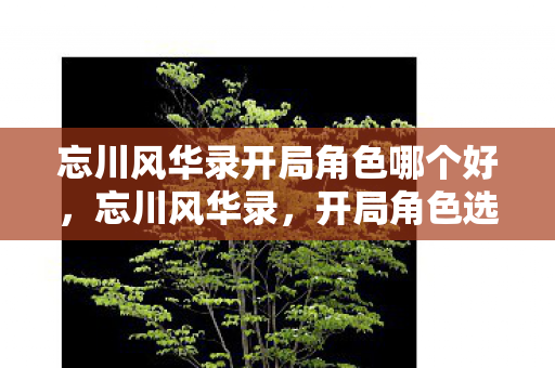 忘川风华录开局角色哪个好，忘川风华录，开局角色选择的艺术