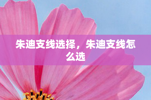 朱迪支线选择，朱迪支线怎么选