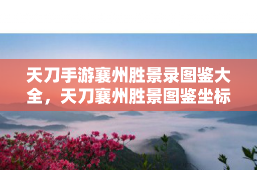 天刀手游襄州胜景录图鉴大全，天刀襄州胜景图鉴坐标，探寻游戏中的绝美风景