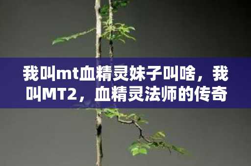 我叫mt血精灵妹子叫啥，我叫MT2，血精灵法师的传奇之旅