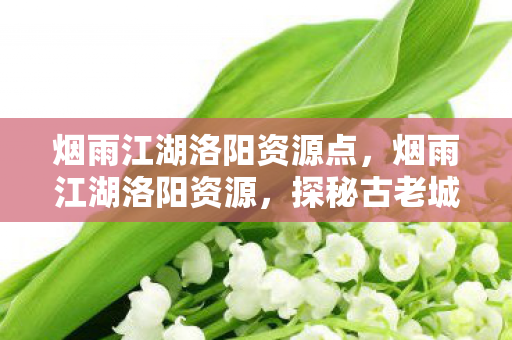 烟雨江湖洛阳资源点，烟雨江湖洛阳资源，探秘古老城市的宝藏
