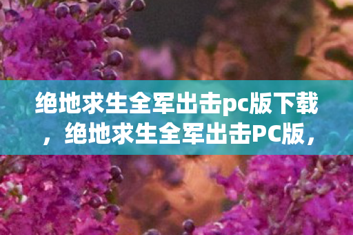 绝地求生全军出击pc版下载，绝地求生全军出击PC版，极致体验与策略战术的完美结合